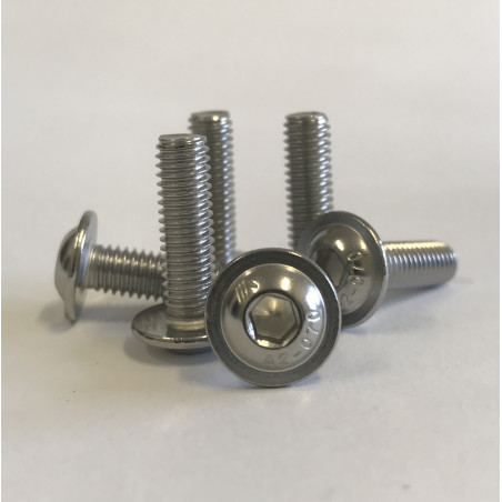 Śruba Nierdzewna kołnierzowa 10x30 DIN 7380-2/A2-10szt