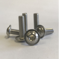 Śruba Nierdzewna kołnierzowa  5X20 DIN 7380-2/A2-10szt