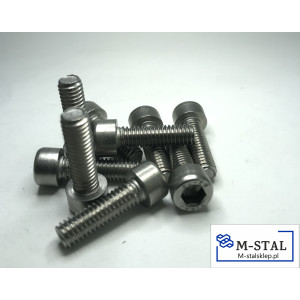 Śruba Nierdzewna Imbusowa 10x100 DIN 912/A2-10szt