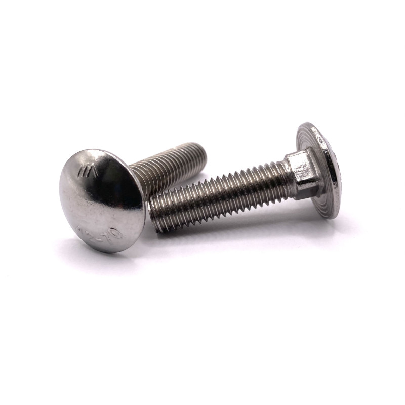 Śruba Nierdzewna Zamkowa 6x45 DIN 603/A2-10szt